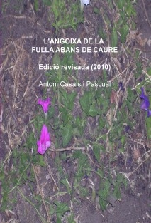 L'ANGOIXA DE LA FULLA ABANS DE CAURE