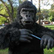 Barbú Gorila