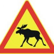 Bob Moosecon