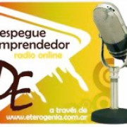 Despegue Emprendedor