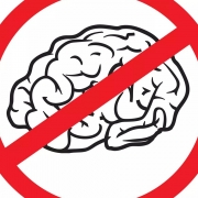 No Brain No Future