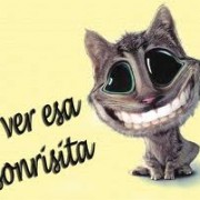 peluzax