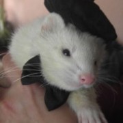 txikieiza