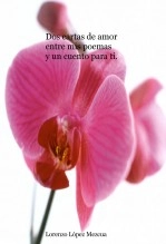 Libro Dos cartas de amor entre mis poemas y un cuento para ti., autor Lorenzo López