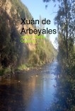 Xuán de Arbeyales