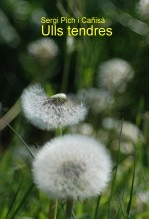 Libro Ulls tendres, autor Sergi Pich i Cañisà