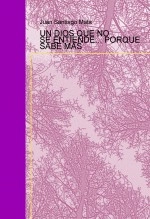 Libro UN DIOS QUE NO SE ENTIENDE... PORQUE SABE MÁS, autor santimat