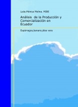 Analisís de la Producción y Comercialización de: Esparragos, Banano y Aloe