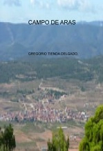 Libro CAMPO DE ARAS, autor GREGORIO TIENDA DELGADO