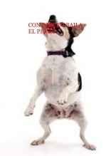 Libro Con Dinero Baila El Perro, autor Andres Gonzalez Gonzalez