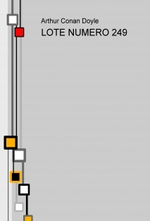 LOTE NUMERO 249