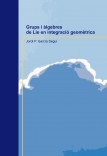 Grups i àlgebres de Lie en integració geomètrica