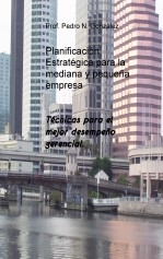 Libro Planificación estratégica para la mediana y pequeña empresa, autor Pedro N. Gonzalez
