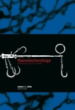 Nanotechnology: balancing the promises