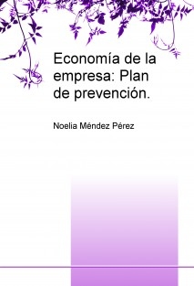 Economía de la empresa: Plan de prevención.