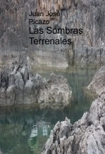 Libro Las Sombras Terrenales, autor Juan José Picazo