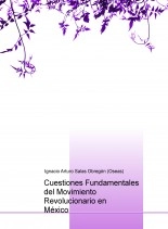 Libro Cuestiones Fundamentales del Movimiento Revolucionario en México, autor David Cilia Olmos Editorial Huasipungo Tierra Roja