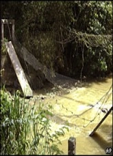 Libro El Puente, autor garis silega
