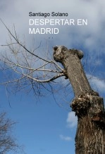 Libro DESPERTAR EN MADRID, autor Santiago Solano