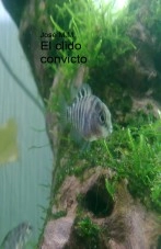 Libro El cilido convicto, autor José Manuel 