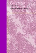 Libro Veintidós sonetos callados, autor feanor00