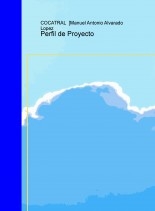 Perfil de Proyecto