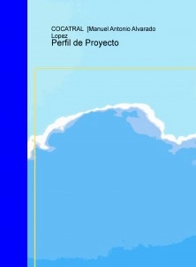 Perfil de Proyecto