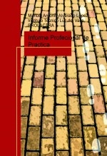 Libro Informe Profecional de Practica, autor coopcocatral