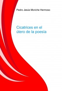 Cicatrices en el útero de la poesía