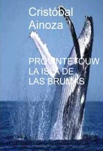 Libro PROVINCETOWN LA ISLA DE LAS BRUMAS, autor Cristóbal Ainoza Rodríguez