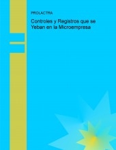 Controles y Registros que se Yeban en la Microempresa