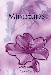 MINIATURAS