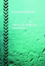 Libro AMAR EN TIEMPOS DE CRISIS, autor LEANDRA BRUNET