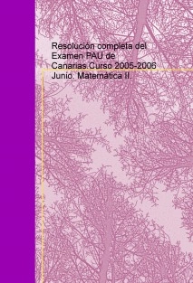 Resolución completa del Examen PAU de Canarias.Curso 2005-2006 Junio. Matemática II.