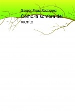 Como la sombra del viento