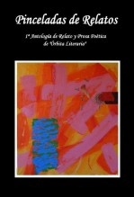 Libro Pinceladas de relatos, autor Teo Revilla Bravo