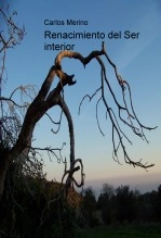 Libro Renacimiento del Ser interior, autor Luis Ernesto Romera