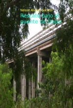 Libro Rescate bajo el puente de Itabo, autor Nelson Alvarez