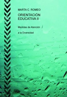 ORIENTACIÓN EDUCATIVA II Medidas de Atención a la Diversidad