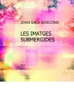 LES IMATGES SUBMERGIDES