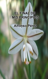 EL FINAL DE MIS PRINCIPIOS