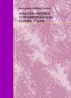 APUNTES HISTORIA CONTEMPORÁNEA DE ESPAÑA, 1º parte