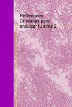 Libro Reflexiones Cristianas para endulzar tu alma 2, autor Jordi Canals i Molins