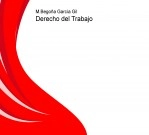 Libro Derecho del Trabajo, autor M. Begoña García Gil