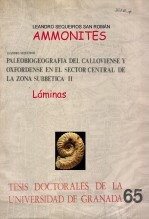 Libro AMMONITES. Láminas de "Paleobiogeografía del Calloviense y Oxfordiense en el Sector Central de las Cordilleras Béticas", autor LEANDRO SEQUEIROS SAN ROMAN