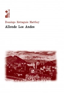 Allende Los Andes