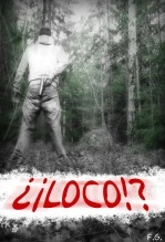 Libro ¿¡ LOCO !?, autor fernando G.A