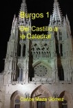Burgos 1. Del Castillo a la Catedral
