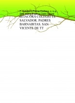 Libro BITACORA COLEGIO EL SALVADOR. PADRES BARNABITAS. SAN VICENTE DE TT, autor colesalvador