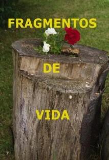 fragmentos de vida